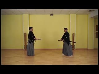 Toyama ryu hataya sensei