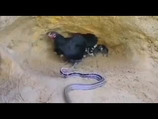 За потомство