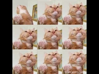 Mr sandman challenge, fat cat art version