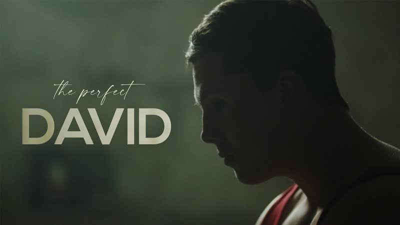 Идеальный давид (2021) el perfecto david