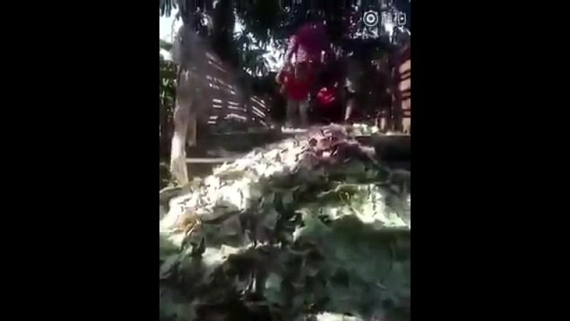 Инфляция в венесуэле венесуэльский папа привез домой зарплату