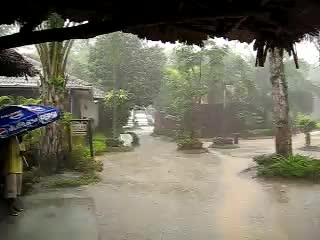 Thai nov 2007 2hrs of strong tropical rain