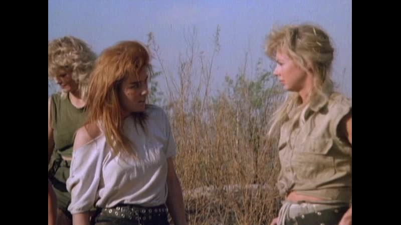 Истребители мужчин / mankillers (1987)