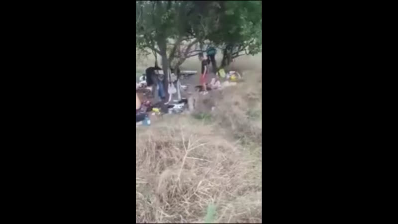 Недавно запорожские чаты облетели видеозаписи, герои которых решили поотрабатывать удары на бездомных