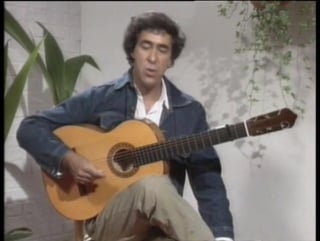 Martin juan la gutarra flamenca 5/6 rus