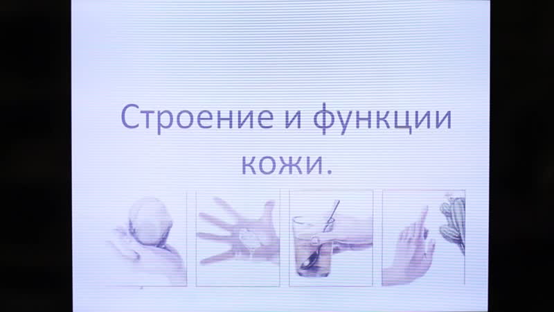 Строение porn video – Строение и функции кожи