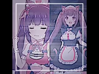 Chocola | nekopara