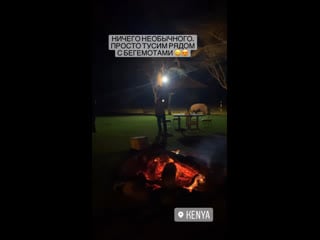 Тусим с бегемотом в кении