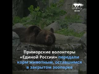 «единая россия» помогла зоопарку