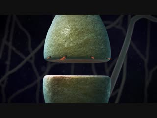 Chemical synapse animation