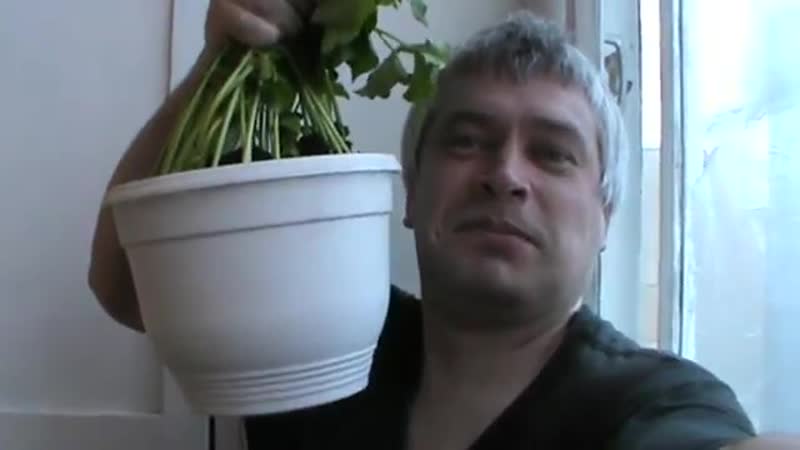 Пиздатая фасоль