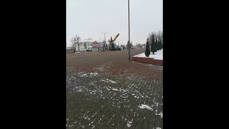 Устаноа ёлки в толочине