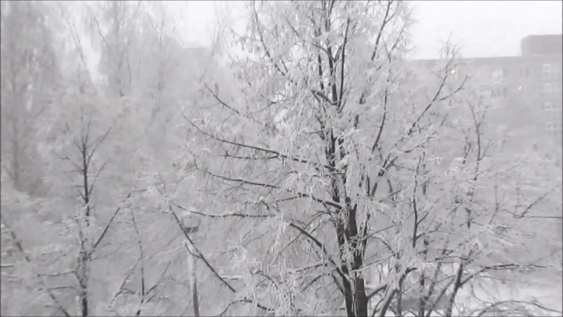 Семгидромет времена года укороченная версия