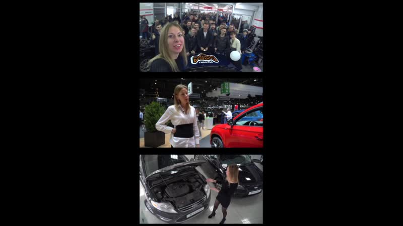 Наша лиса рулит! #нашалисарулит #лисарулит #lisarulit #авто