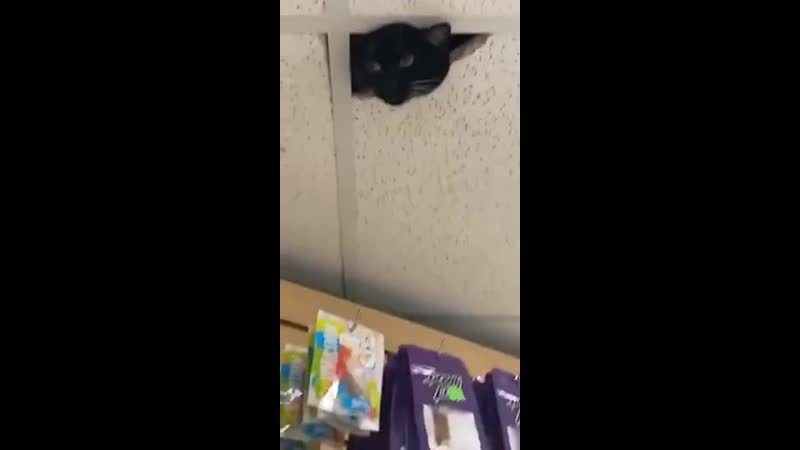 Улыбнись, тебя снимает скрытая камера!