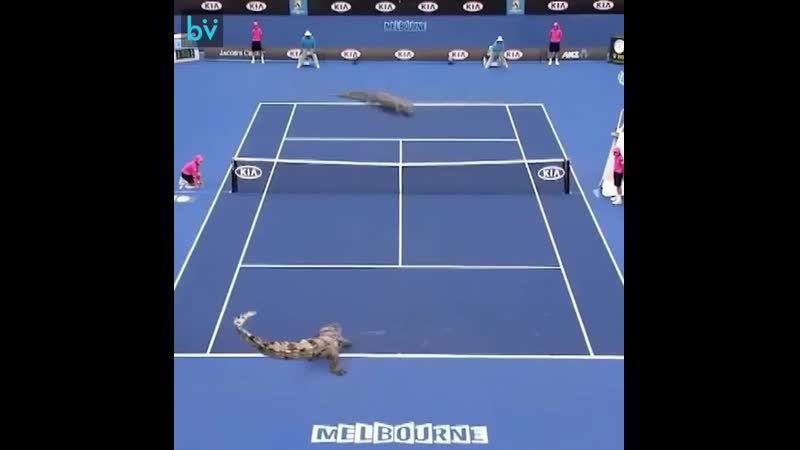 Хейтеры скажут фотошоп