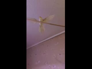 Vid 20201110 205537 mp4