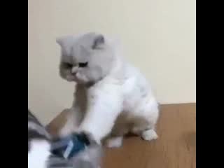 Sicko shows a porn how to fuck people up