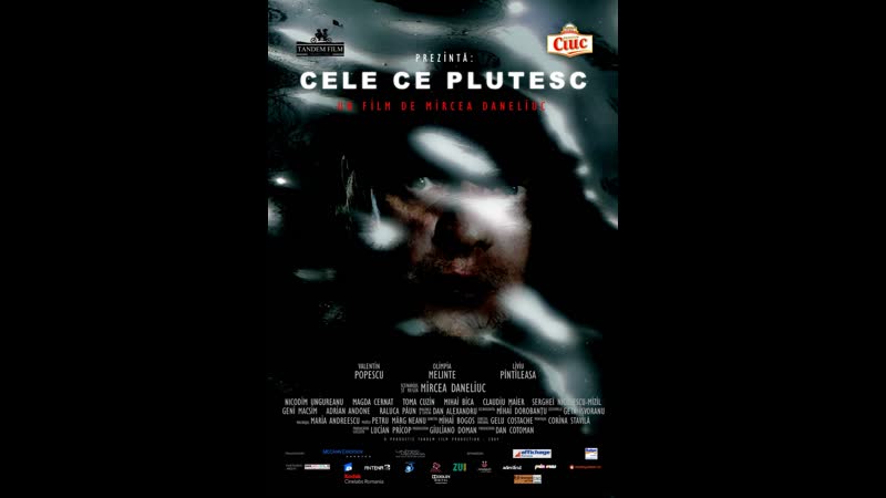 Типа поплавок cele ce plutesc (2009) румыния