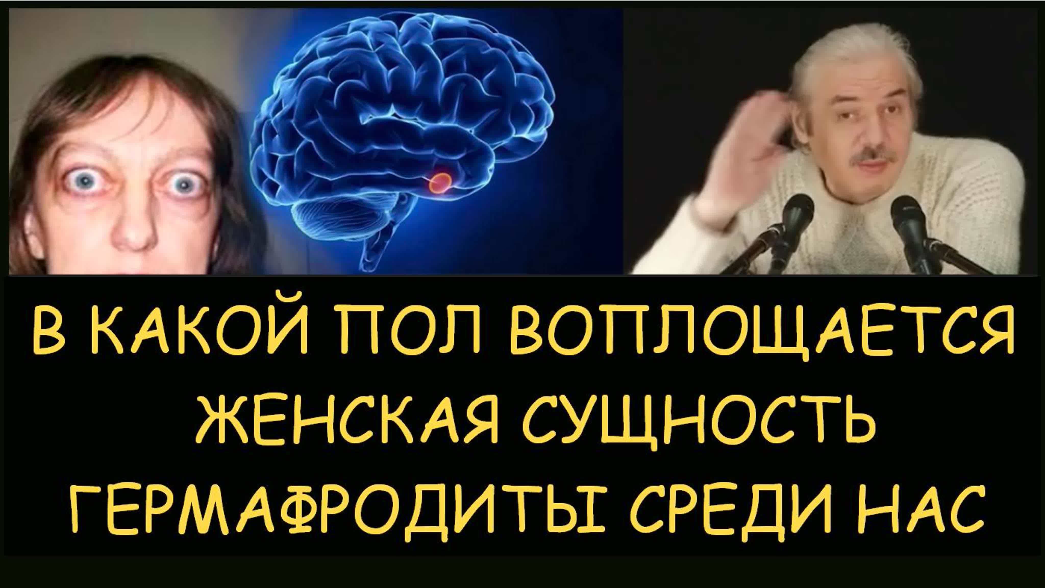 Николай левашов может ли женская сущность воплотиться в мужскую  гермафродиты среди нас снятие блокировок