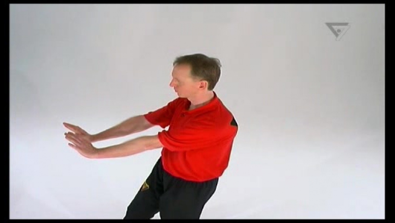 Sifu niko dvd 3