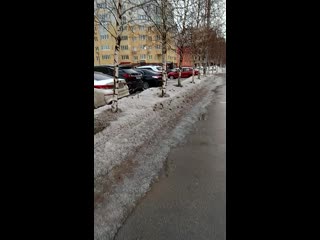 Видео от зухры зайцевой