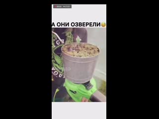 Svid 20190428 111553 1 mp4