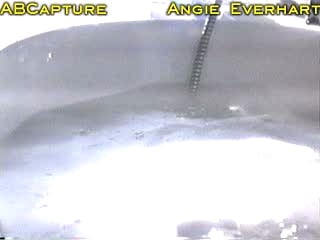 Angie everhart / энджи эверхарт [голые знаменитости]