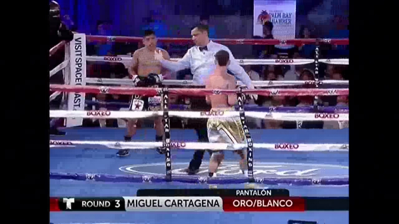 Undercard porn video – Miguel cartagena vs ricardo rodriguez undercard