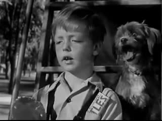 Little mister jim (1946)