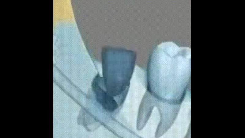 Стоматология