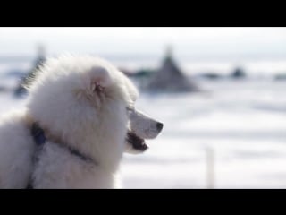 Ямал приглашает welcome to yamal