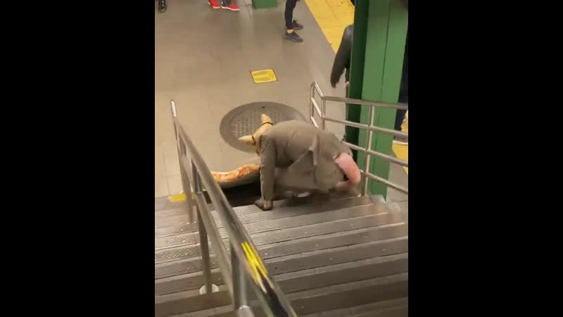 Ничёси крысы в нью йоркском метро