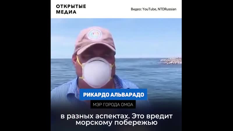 Пляжи гондураса накрыло «мусорное цунами»