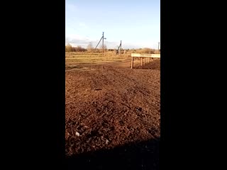 Vid 20201019 163413 mp4