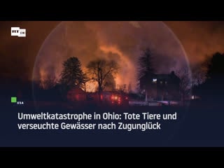 Umweltkatastrophe in ohio tote tiere und verseuchte gewässer nach zugunglück