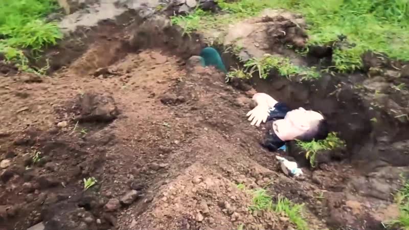 Брянские шалости