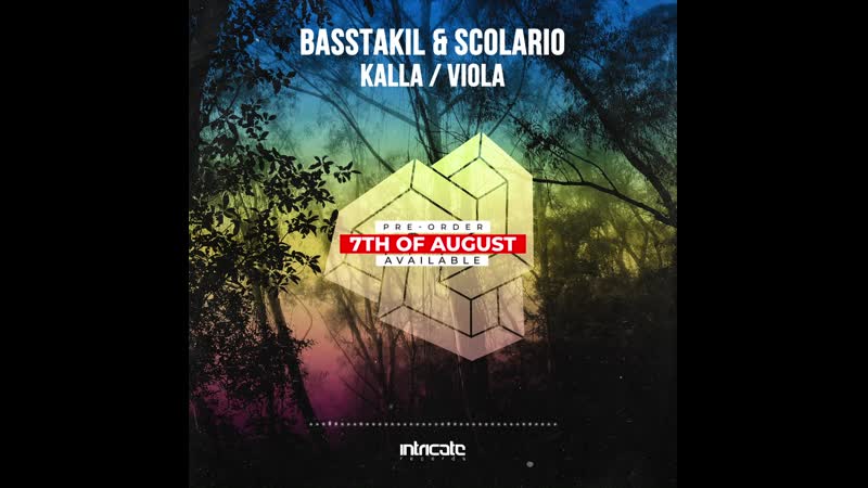 Basstakil & scolario kalla,viola (preview)
