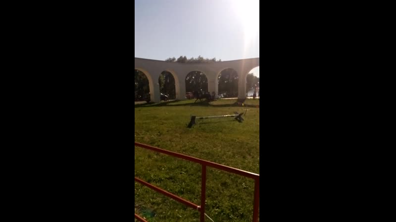 Новгородские витязи