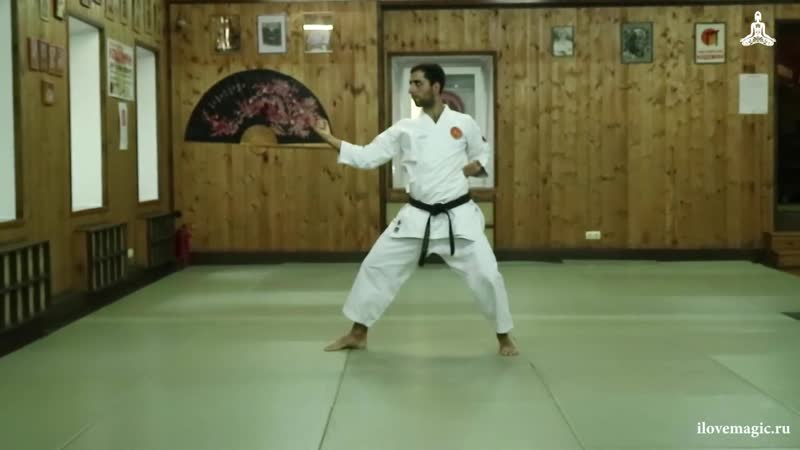 Хеян сандан обучение показывает мераб ботерашвили