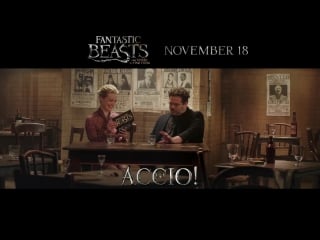 Alison sudol quizzes no maj dan fogler in “name that spell!”