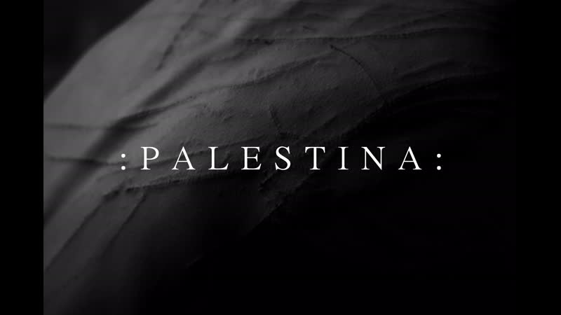 Palestina split(2019)