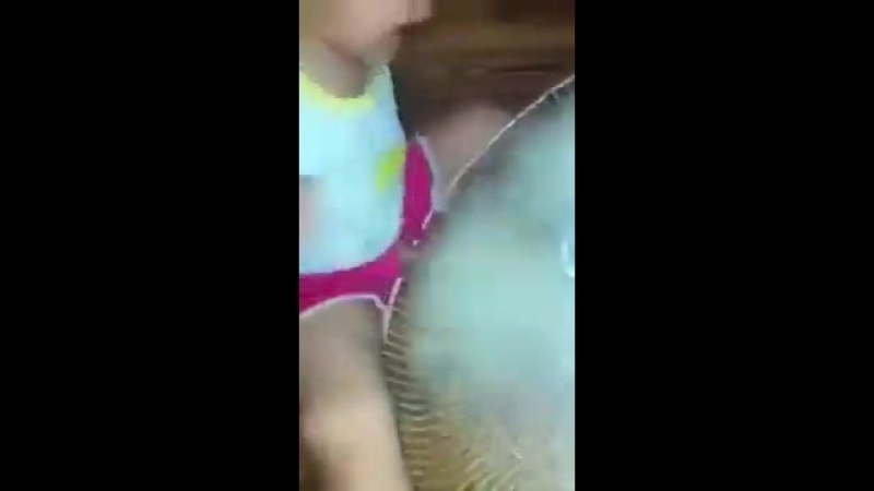 Вентилятор, ребенок и писька