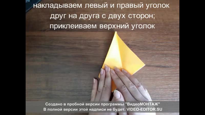 Городкова алёна студентка 1 курса хгф зайка подстаа