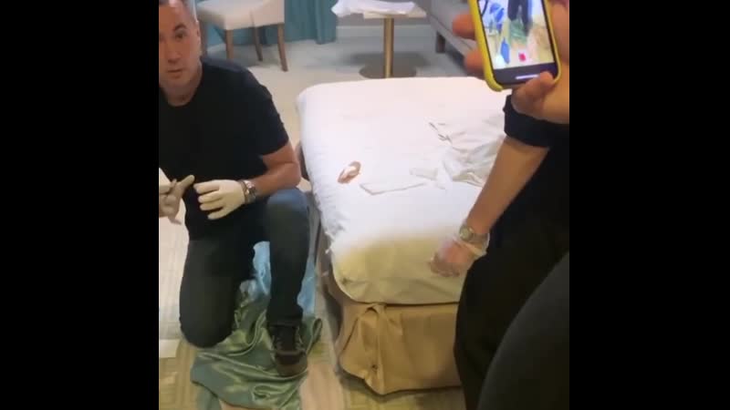 Штаб навального навального отравили в томском отеле