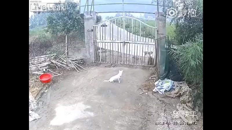 Нормально он летел