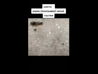 Ебать копать