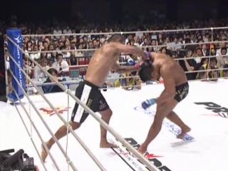 Pride fc bushido part ii