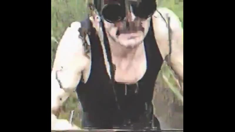 Кикимора болотная