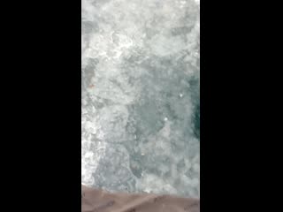 Video 20210125 171323 mp4